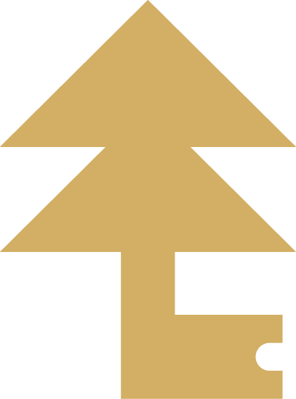 Shape Aksakovo 29